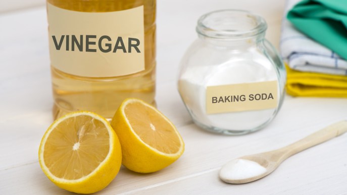 Detergenti fai da te: pulire la casa in modo economico e naturale