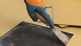 Come riparare le piastrelle