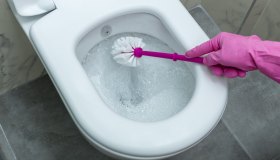 Come sbiancare il wc di casa: i rimedi naturali