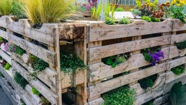 Come creare un orto verticale in casa e sul balcone