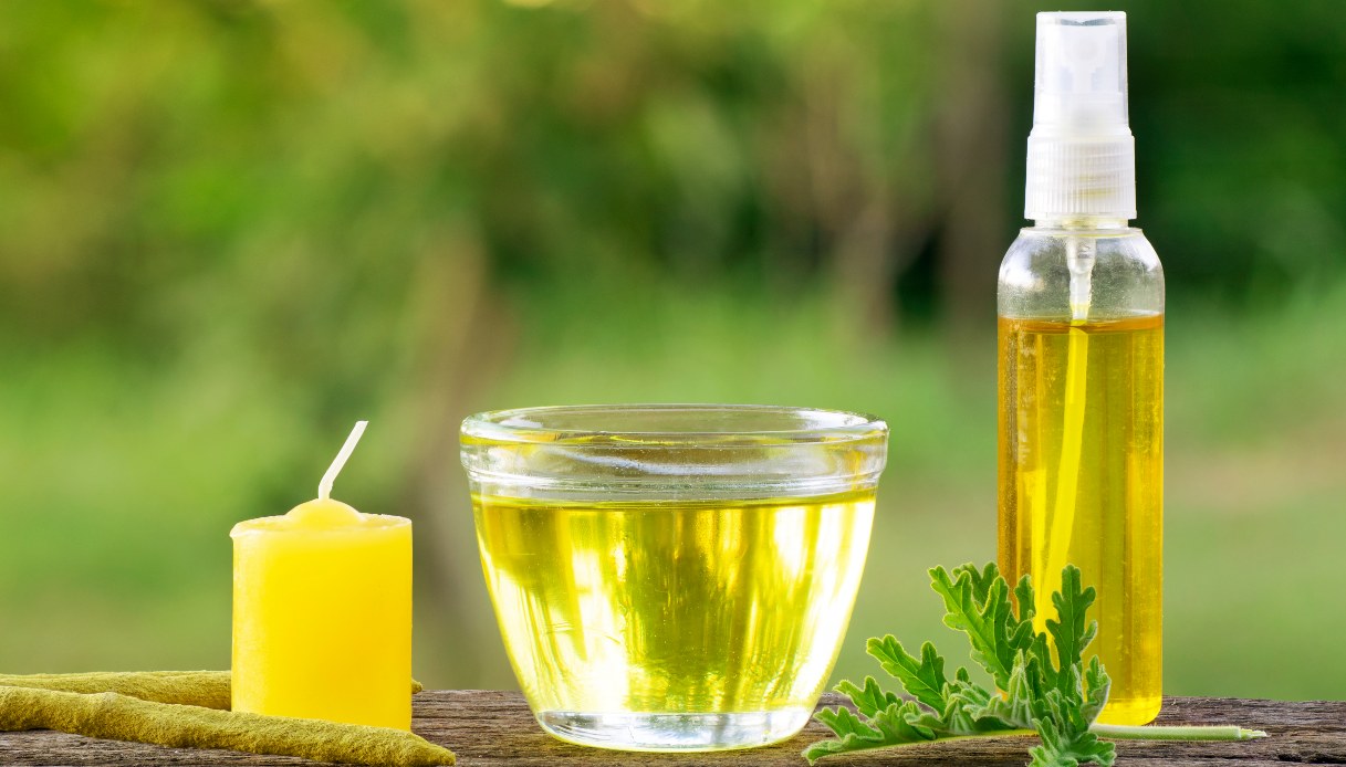 Zanzare: i rimedi naturali più efficaci per tenerle lontane