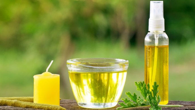 Zanzare: i rimedi naturali più efficaci per tenerle lontane