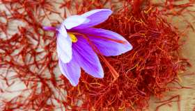 Come coltivare lo zafferano: tecniche e terreno giusto