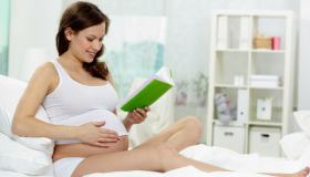 La gravidanza: diciannovesima settimana