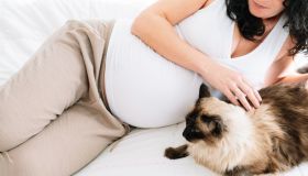 Cosa può succedere al feto se prendiamo la toxoplasmosi