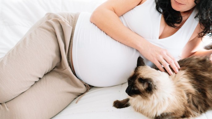 Cosa può succedere al feto se prendiamo la toxoplasmosi