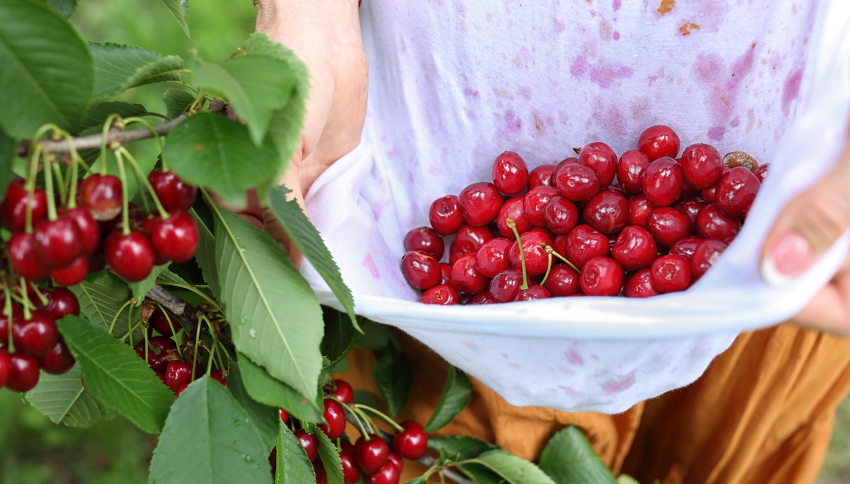Come rimuovere le macchie di ciliegia