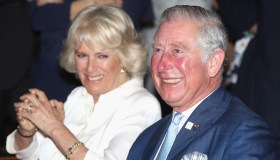 Ecco perché Carlo lasciò Lady D per Camilla