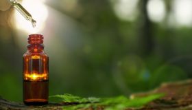 Come curare la candida e altri disturbi con l’olio essenziale di tea tree