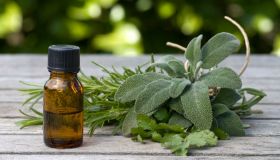 Olio essenziale di salvia: proprietà, benefici e come si usa