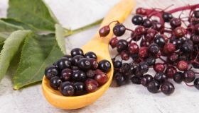 Sambuco: proprietà, benefici e utilizzi