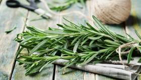 Le erbe nel piatto. Il rosmarino contro i chili di troppo