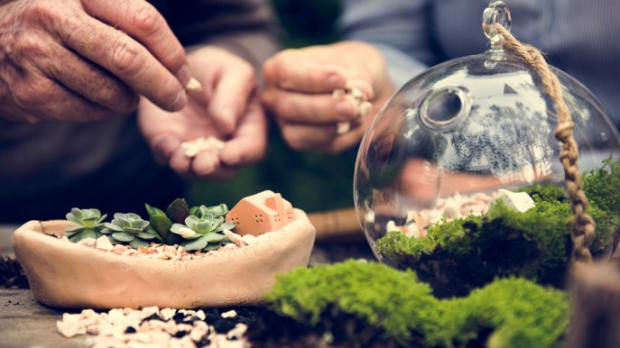 Terrario per piante: come realizzarne uno