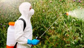 Glifosato, è veramente pericoloso per la salute?