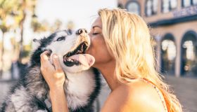 6 curiosità che probabilmente non sai sul tuo cane