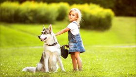 Toxocara: cos’è, come si manifesta e come si tratta