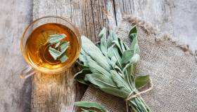 5 tisane da realizzare con le piante del giardino