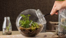 Micro giardini: tutti i segreti di questa tendenza green