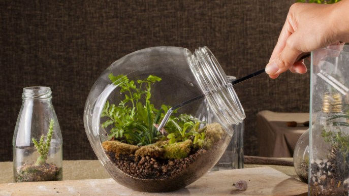 Micro giardini: tutti i segreti di questa tendenza green