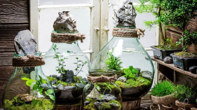 Piante in barattolo: l’idea per un regalo originale