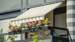 Tende da sole: scelta e acquisto