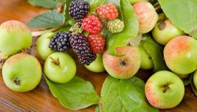 Frutti dimenticati: le delizie nascoste della natura