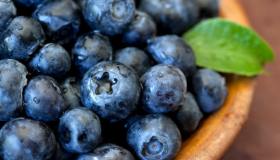 Dieta dei mirtilli, rassodano e sgonfiano