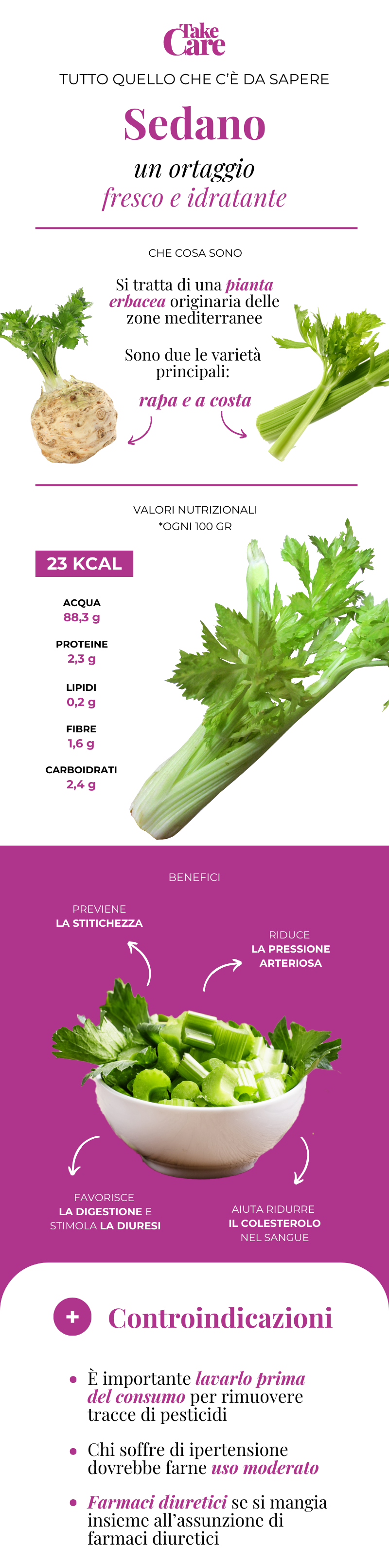Infografica sul sedano