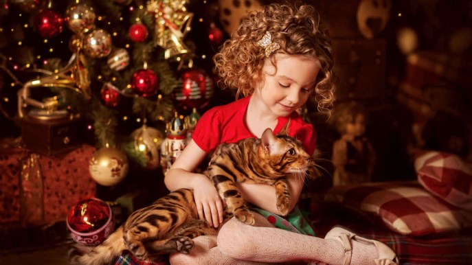 Un cucciolo sotto l’albero, ecco 6 utili consigli
