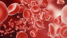 Anemia mediterranea: cos’è, sintomi e cause