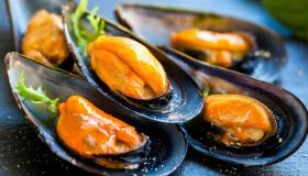 Cozze: come inserirle nella dieta