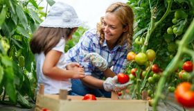 Dieta rossa: come funziona, benefici ed esempio di menu