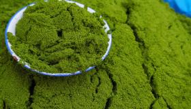 Mankai: il nuovo superfood che abbassa gli zuccheri nel sangue