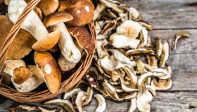 Funghi: calorie, proprietà ed effetti sulla dieta