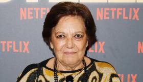 Chi era Roberta Fiorentini, Itala nella serie tv Boris