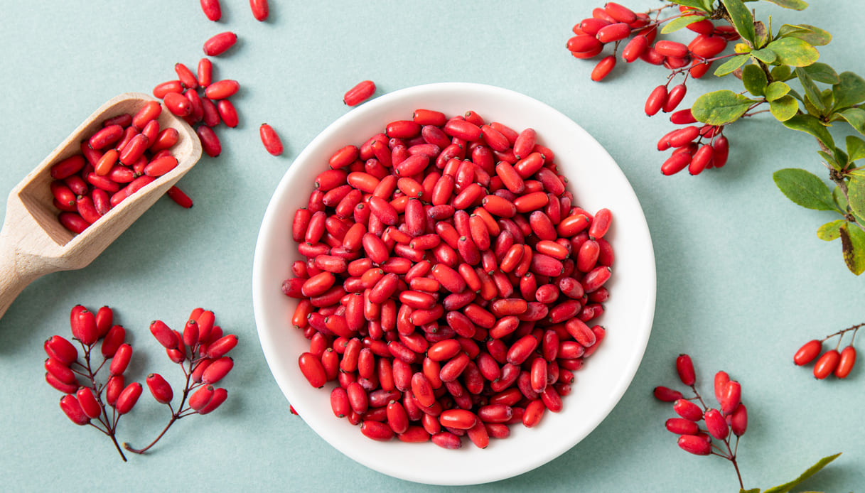 Crespino, tutte le proprietà e i benefici di questa pianta per il colesterolo