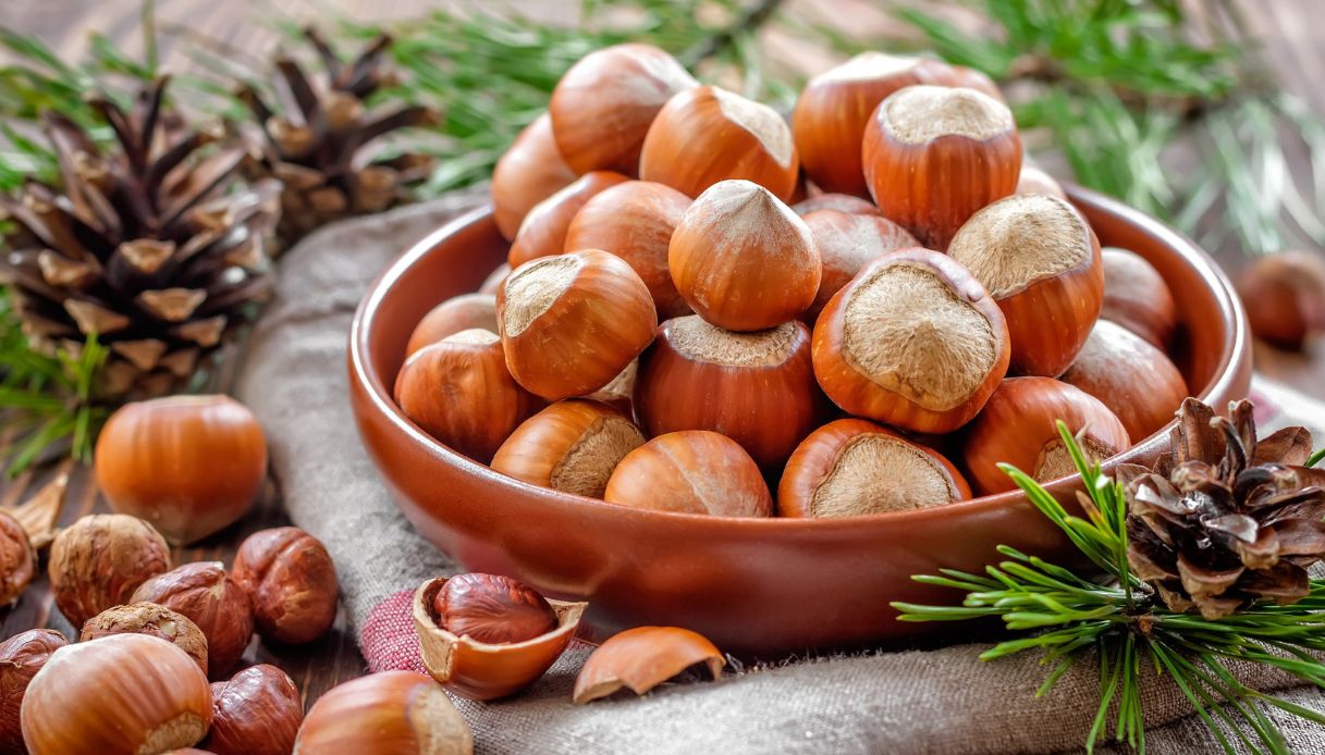 Nocciole: proprietà, benefici e utilizzi a dieta