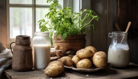 Amido, a cosa serve e gli effetti sul corpo