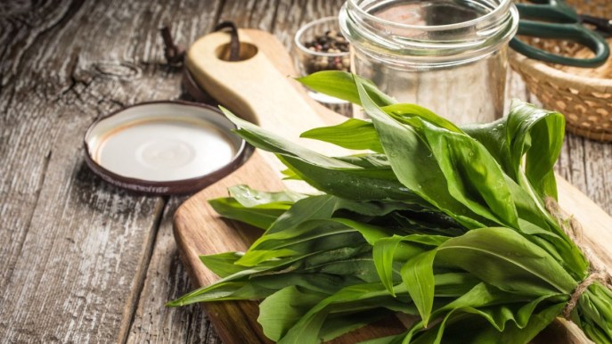 Piantaggine, l’erba spontanea da mettere sulle punture di insetto