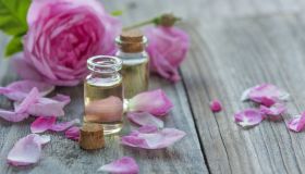 Rosa canina: il potere della natura per la cura della pelle