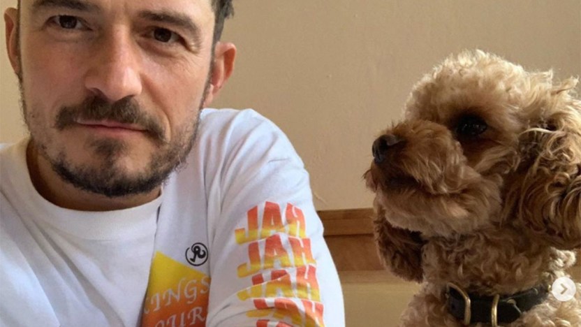 Orlando Bloom si tatua il nome dell’amato cane scomparso