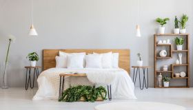 Le piante più adatte alla camera da letto