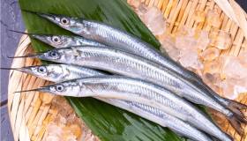 Aguglia: che pesce è, proprietà e benefici