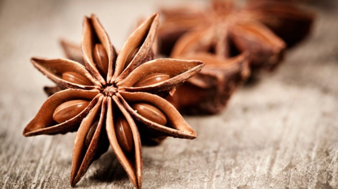 Anice stellato, la spezia dai mille benefici per salute e benessere