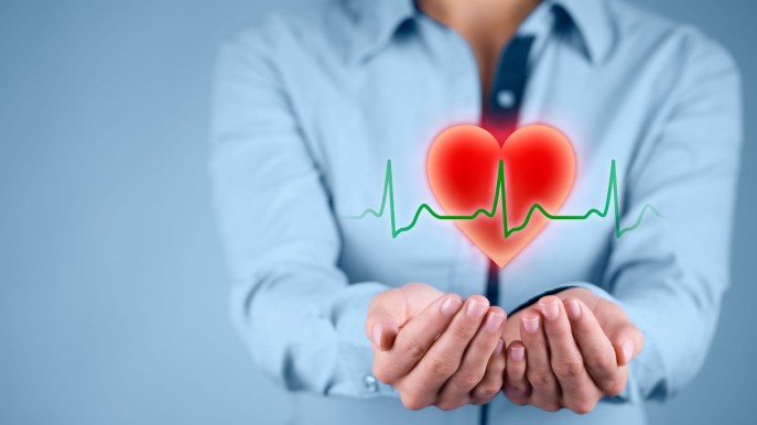 Cuore: anatomia, fisiologia e come mantenerlo in salute