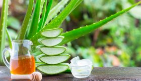Aloe vera: benefici e come coltivarla a casa