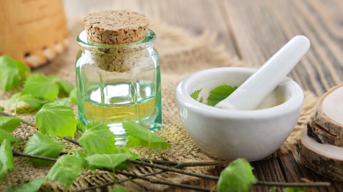 Betulla: proprietà, caratteristiche e benefici