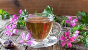 Malva: proprietà, utilizzi e benefici