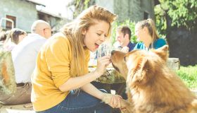 Perché parlare con il cane fa bene, a tutte le età