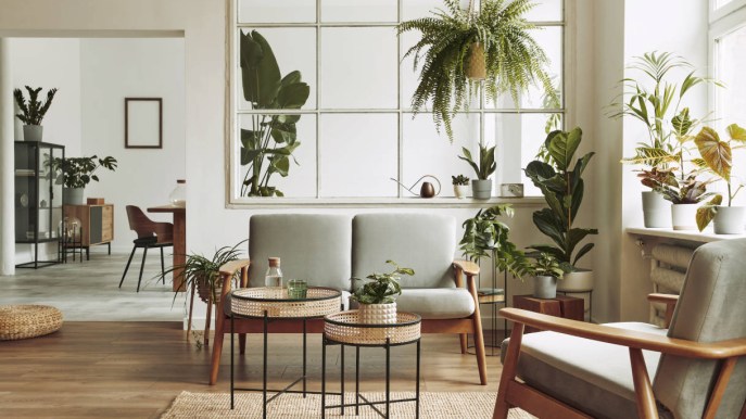 Le piante più resistenti da coltivare in inverno